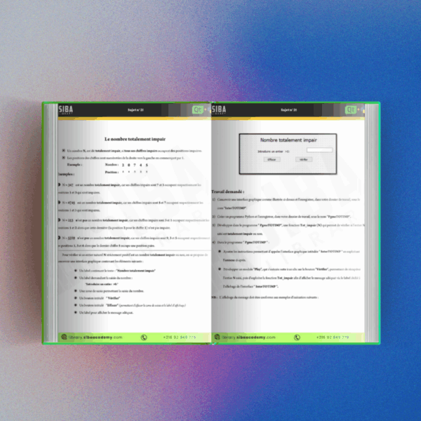 Par la pratique, l’Informatique – Tome 1 – Image 2
